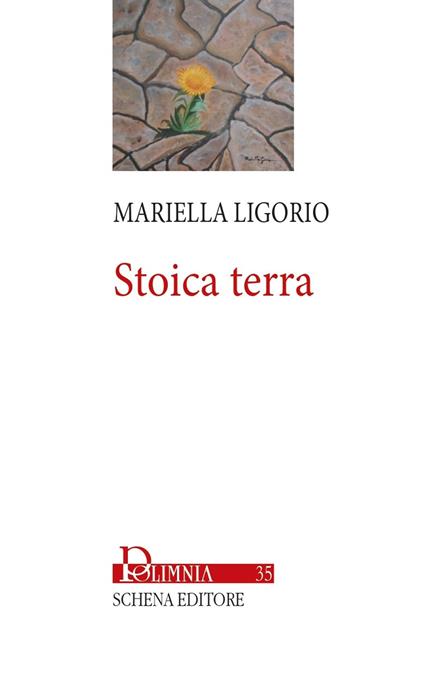 Copertina di Stoica terra