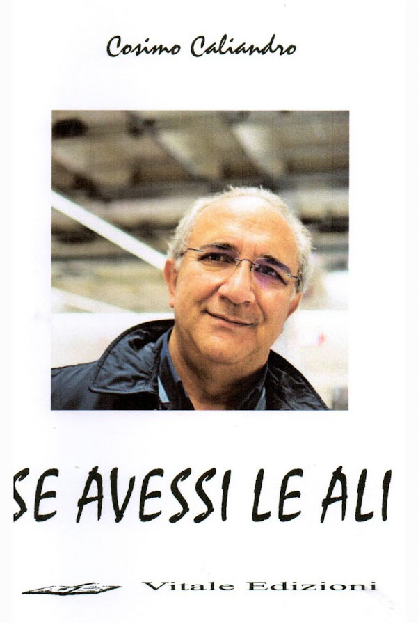 Copertina di Se avessi le ali