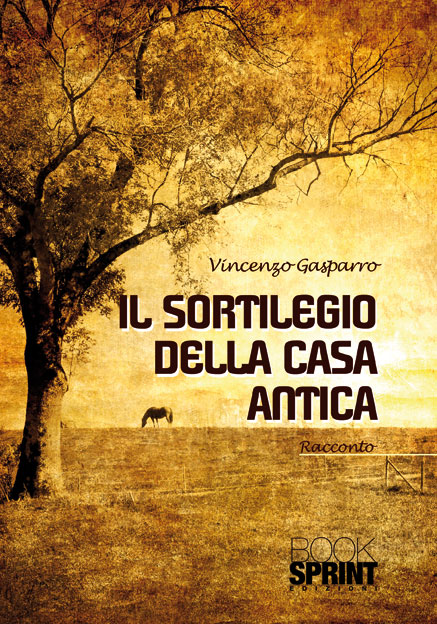Copertina di Il sortilegio della casa antica