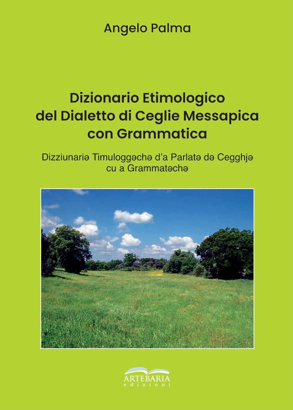 Copertina di Dizionario etimologico del dialetto di Ceglie Messapica con grammatica