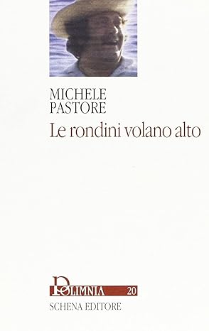 Copertina di Le rondini volano alto